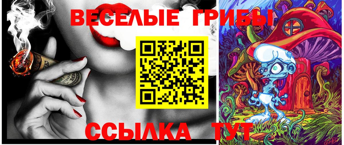 Псилоцибиновые грибы Cubensis Зеленодольск